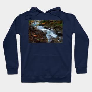 Forest Stream Hoodie